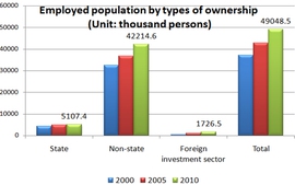 Employed population by types of ownership